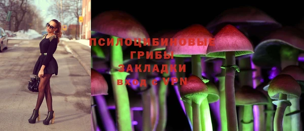 герыч Каменка